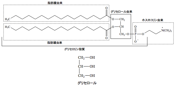 解説画像