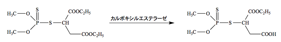 解説画像