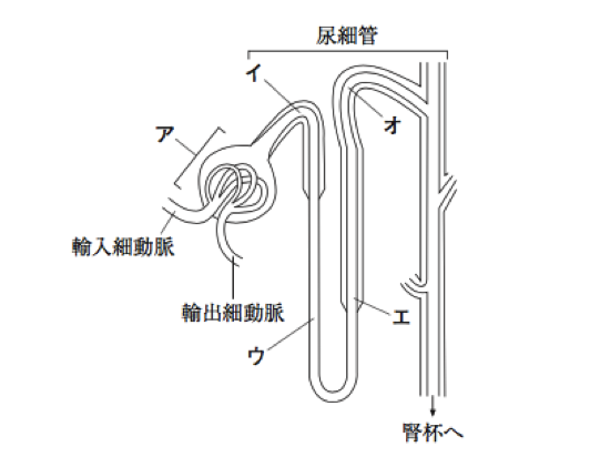 解説画像