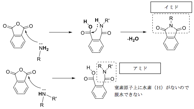 無水フタル酸