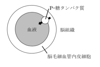 薬剤師国家試験 第105回 問42 過去問解説 E Rec わかりやすい解説動画