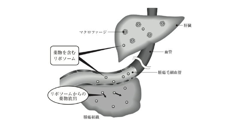 薬剤師国家試験 第106回 問55 過去問解説 E Rec わかりやすい解説動画