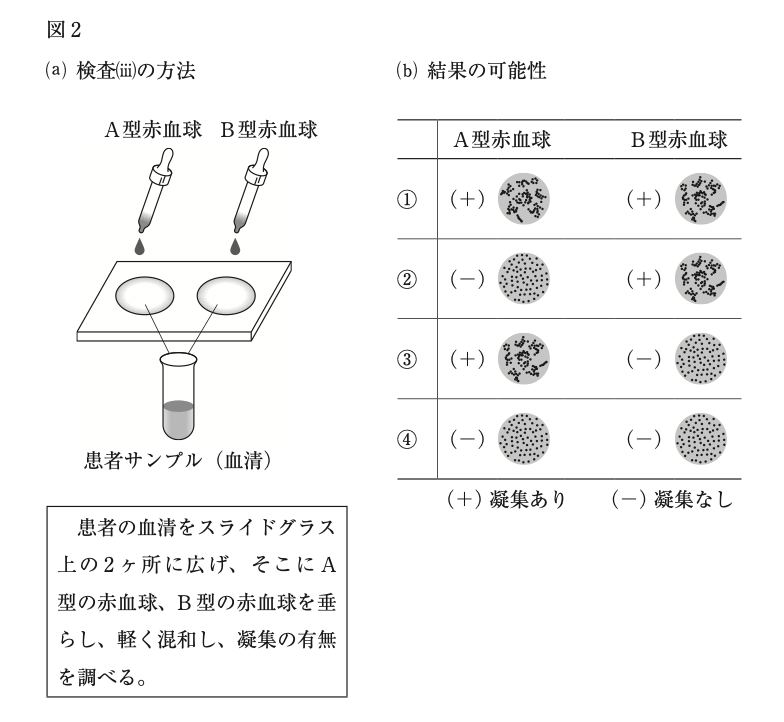 薬剤師国家試験 第106回 問116 過去問解説 E Rec わかりやすい解説動画
