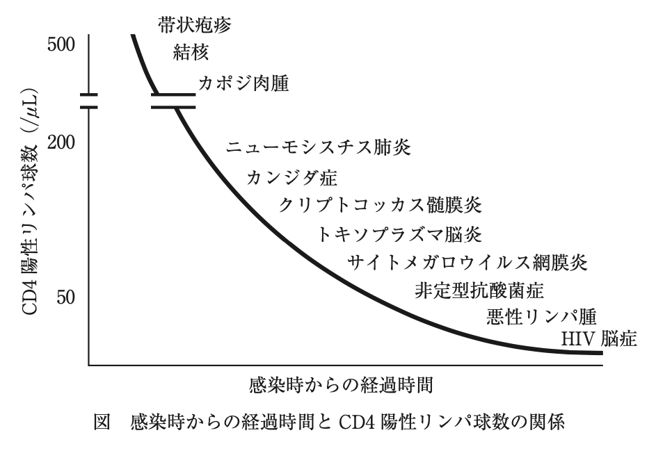 薬剤師国家試験 第106回 問298 299 過去問解説 E Rec わかりやすい解説動画