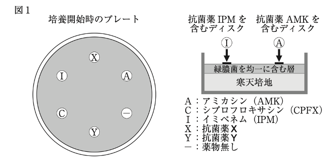 薬剤師国家試験 第107回 問224 225 過去問解説 E Rec わかりやすい解説動画