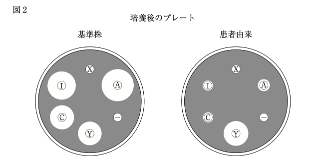 薬剤師国家試験 第107回 問224 225 過去問解説 E Rec わかりやすい解説動画