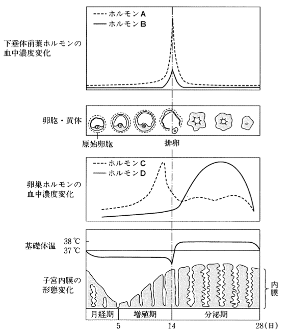 87回午前問題136 150 87回看護師国家試験