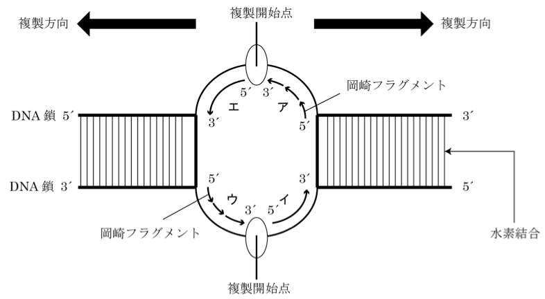 岡崎フラグメント